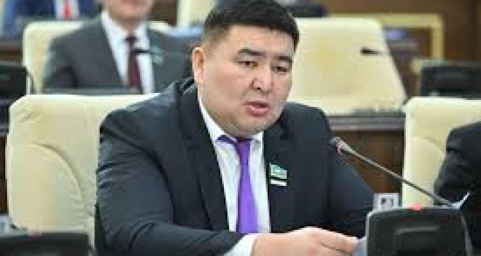 Елнұр Бейсенбаев: Жаңа Конституция – Қазақстанның дамуының айғағы