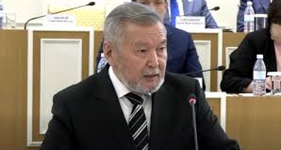 Белгілі заңгер Жаңа Конституция жобасын бүкілхалықтық референдумға шығару туралы ұсынысты қолдады