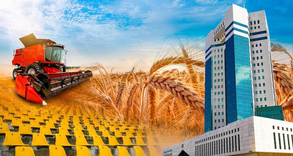 Үкімет егін жинау науқанын қорытындылап, спорттық инфрақұрылымды дамыту мәселесін пысықтайды