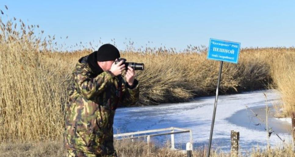 Каспийдің кері шегінуінен қамыс қаулап өсуде