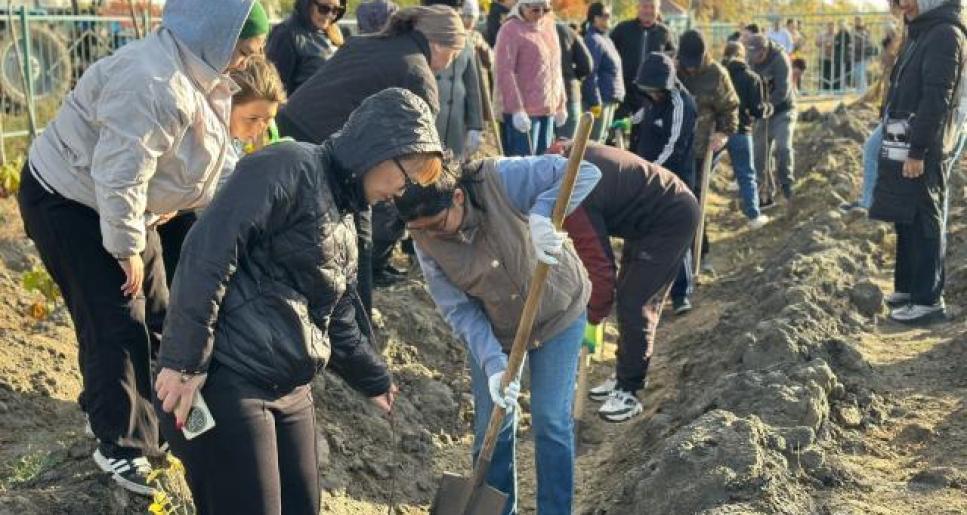 Құрманғазыда “Таза Қазақстан” акциясы аясында тал отырғызу шарасы өтті