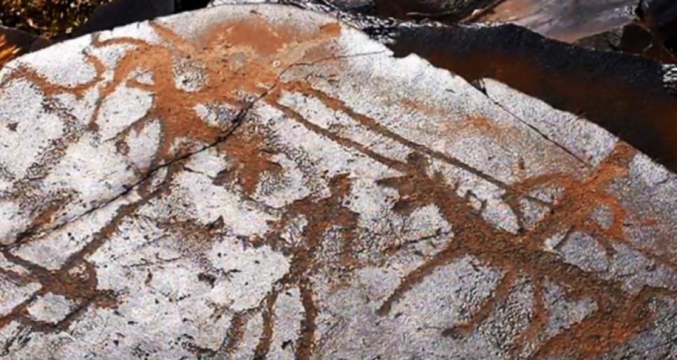 Алматы облысында Іле өзенінің әсем жағалауында жаңа туристік кластерді дамытуға бағытталған ауқымды жоба іске қосылды