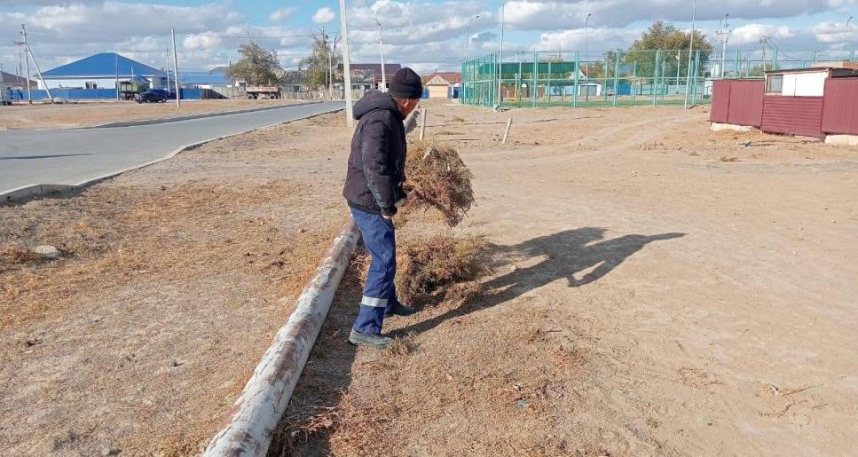 &quot;ТАЗА ҚАЗАҚСТАН&quot; АКЦИЯСЫ АЯСЫНДА ТАЗАЛЫҚ ЖҰМЫСТАРЫ ЖАЛҒАСУДА