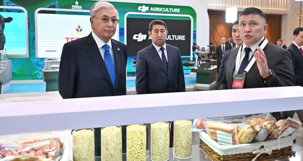 Қасым-Жомарт Тоқаев саладағы маман тапшылығы мәселесін көтерді