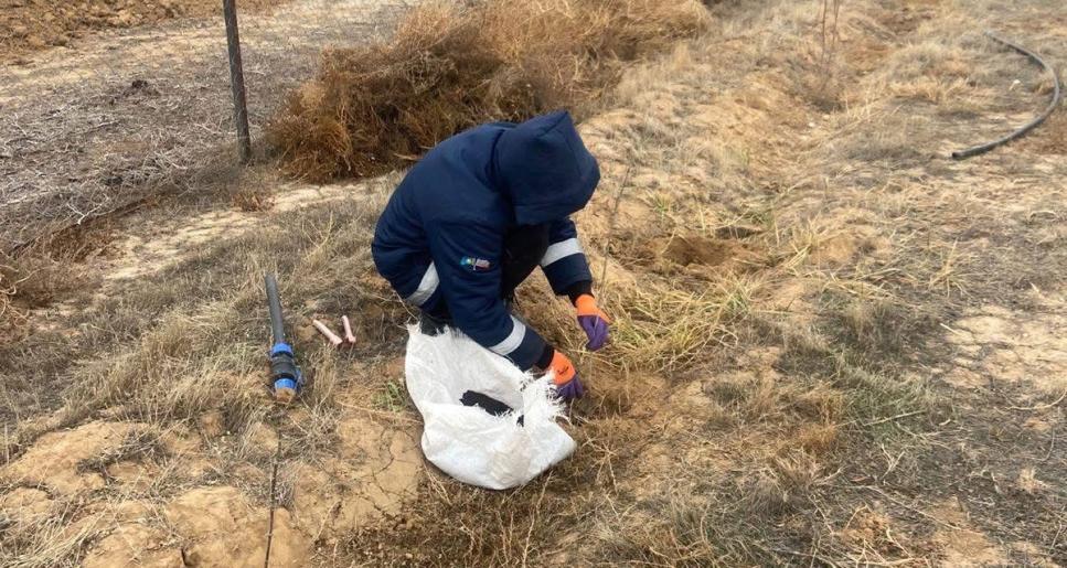 Таңдай ауылында «Таза Қазақстан» аясындағы көгалдандыру жұмыстары басталды